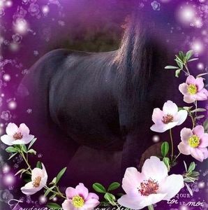 Meet your Posher, Joleen